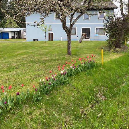 Nikolaierhaus Lägenhet Feldkirchen in Kärnten Exteriör bild