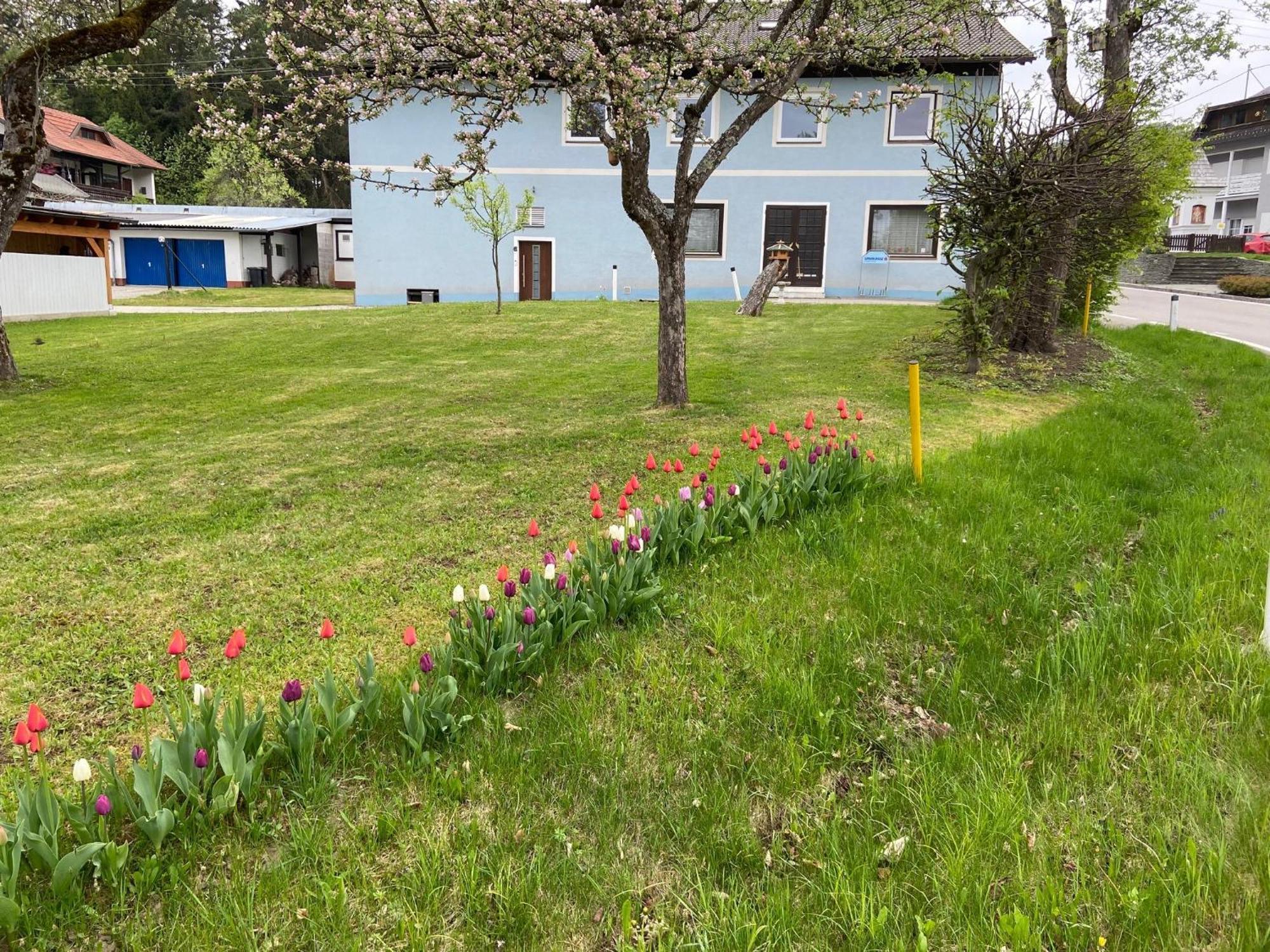 Nikolaierhaus Lägenhet Feldkirchen in Kärnten Exteriör bild